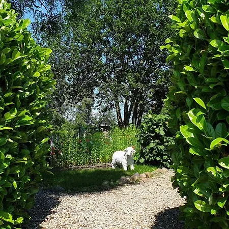 Ferienbungalow Haus Am Teich Semesterbostad