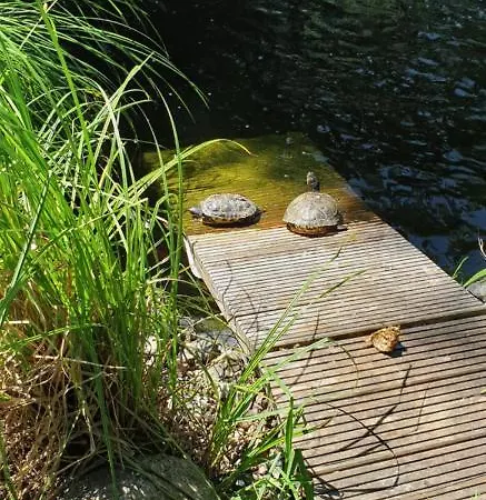 Ferienbungalow Haus Am Teich 펜션