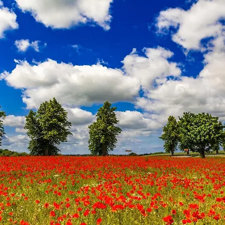 Ferienbungalow Haus Am Teich *